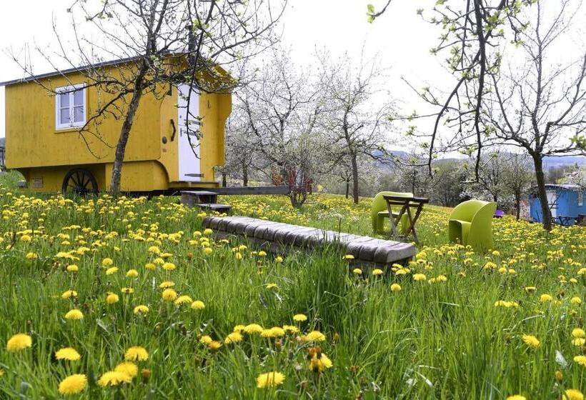 酒店 Krenzers Rhön