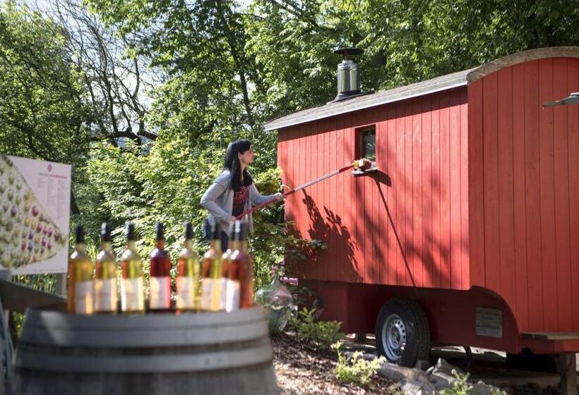 酒店 Krenzers Rhön