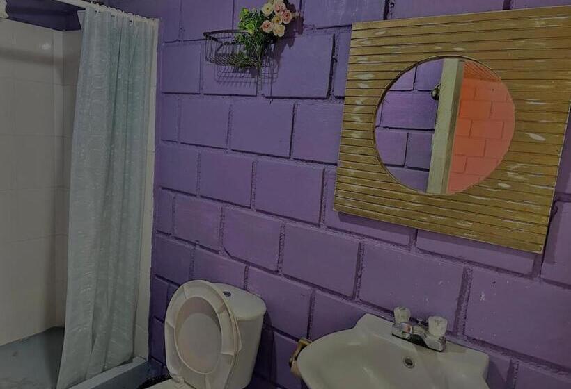 בית מלון כפרי Valle Los Amores