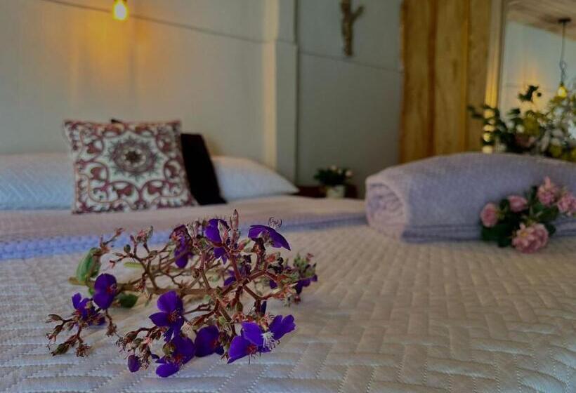 בית מלון כפרי Valle Los Amores