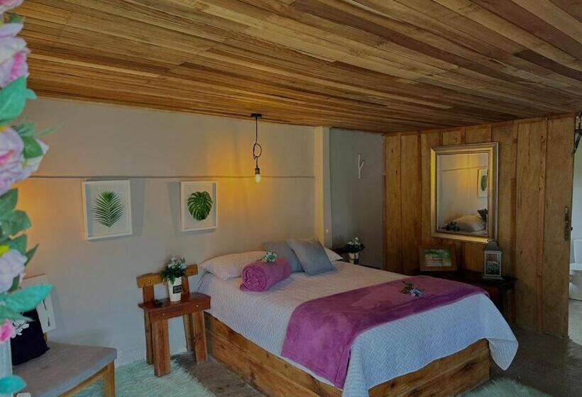 בית מלון כפרי Valle Los Amores