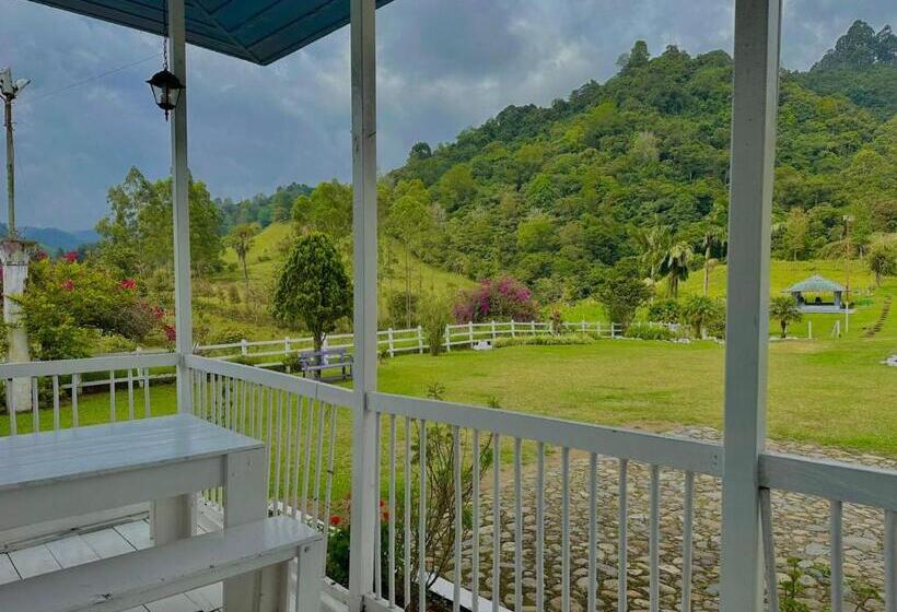 בית מלון כפרי Valle Los Amores