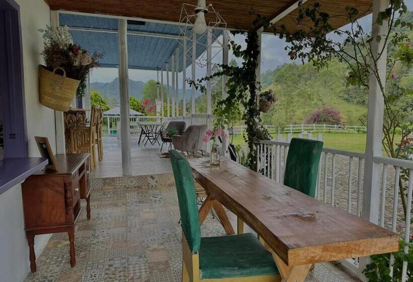 בית מלון כפרי Valle Los Amores