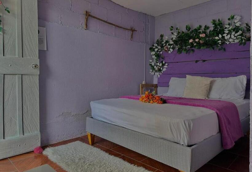 בית מלון כפרי Valle Los Amores