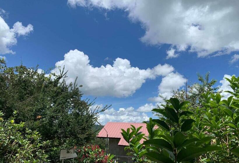 بنسيون Dc Farm House