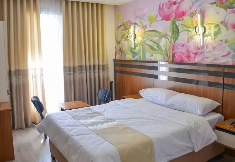 Hotelli Vizyon Life Pansiyon