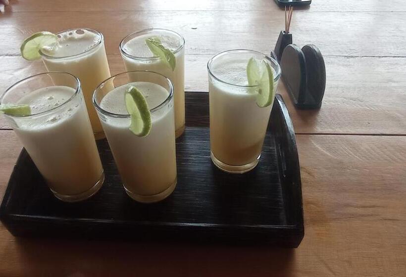 Bed & Breakfast Taski Wasi Mirador Del Condor Andino