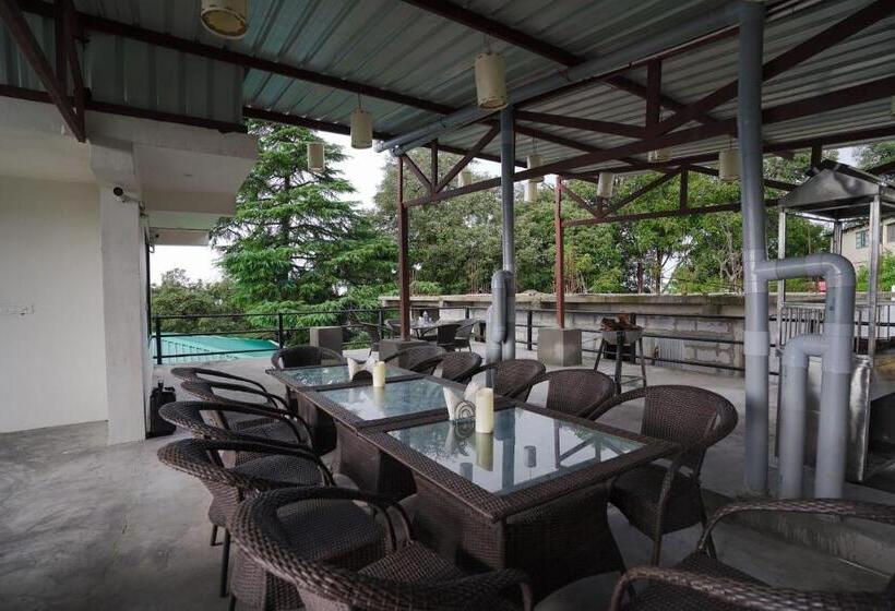 Отель D M International Guest House