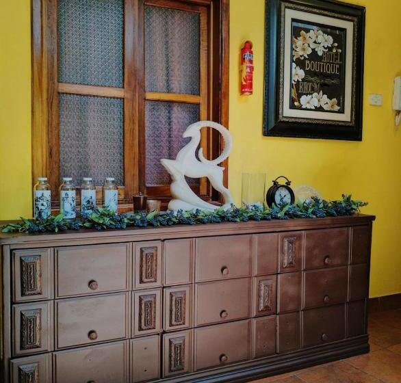 هتل Rholyn Pura Vida !!