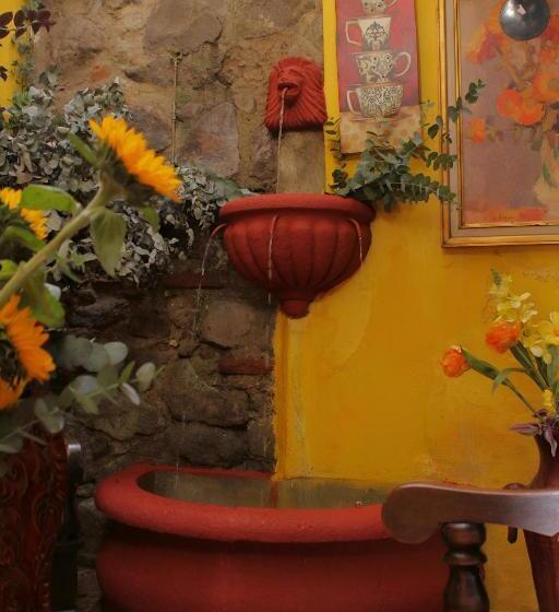 هتل Rholyn Pura Vida !!