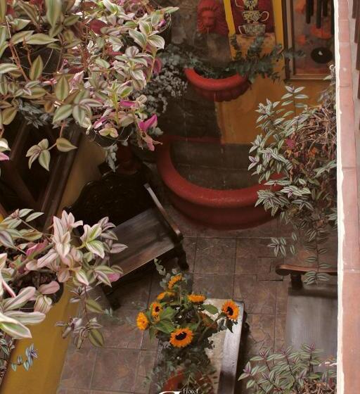 هتل Rholyn Pura Vida !!