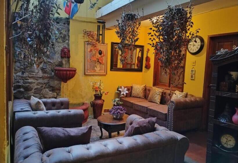 هتل Rholyn Pura Vida !!