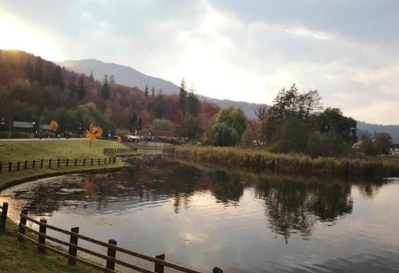 پانسیون Casa Lidia Brasov