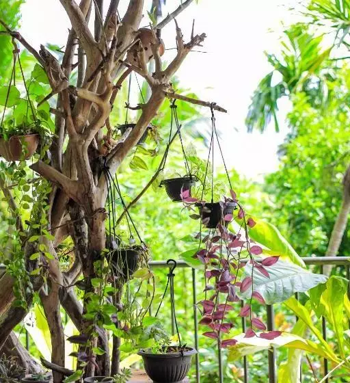 Majatalo Cielo Residence