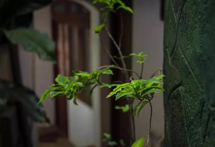 Majatalo Cielo Residence