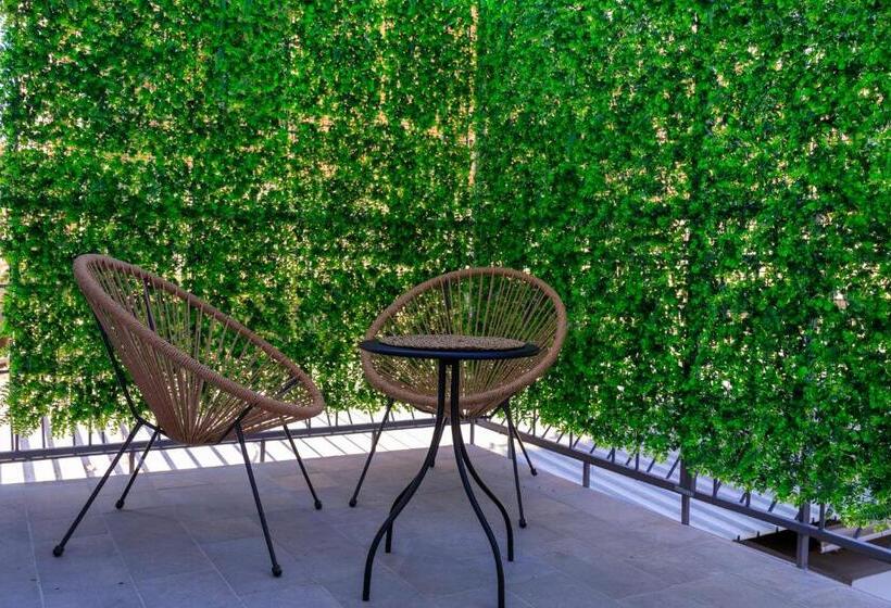 Пансион Domus Vivian