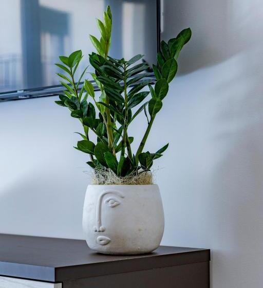 پانسیون Urban Oasis