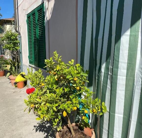 פנסיון Villa Sibilla   Michelangelo Room