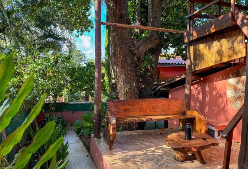 住宿加早餐  Pousada Itacaré