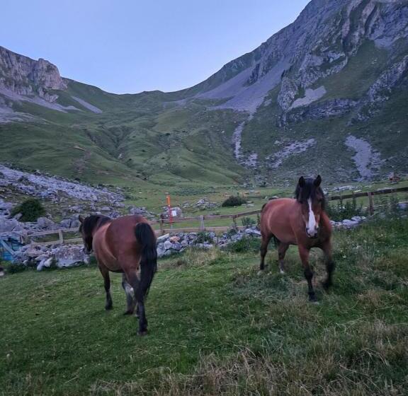 Schronisko Refugio Del Meicín