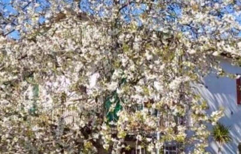 住宿加早餐 Dolce Risveglio