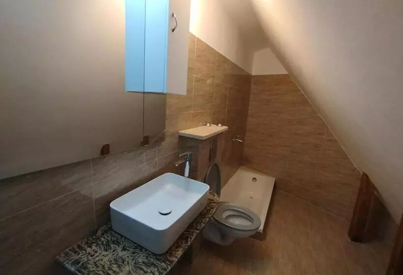ペンション Căsuța Din Brașov