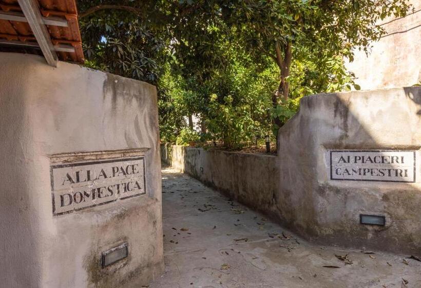 پانسیون Maison Rosetta