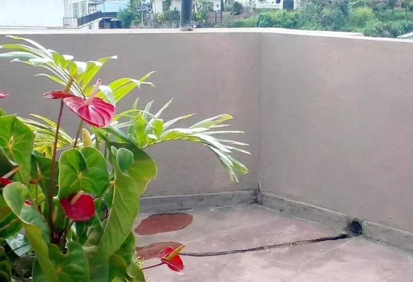 ホテル Haranya Homestay