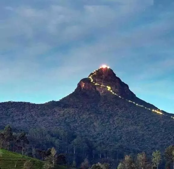 ホテル Haranya Homestay