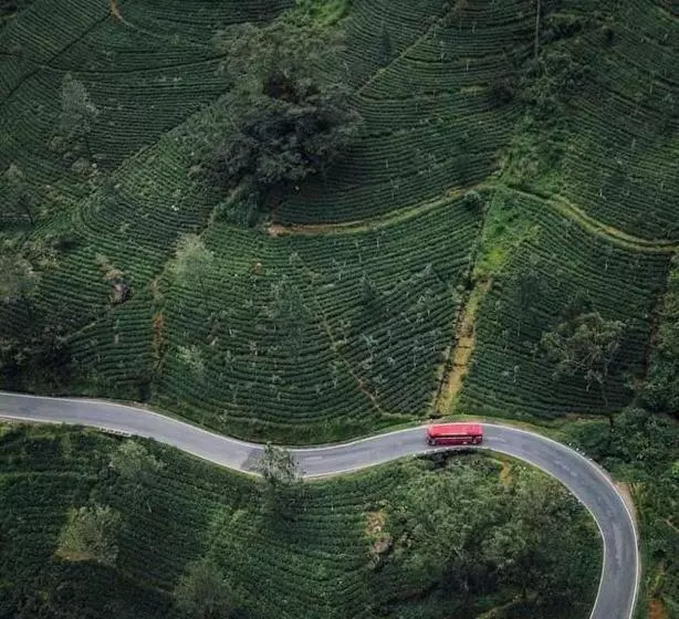 ホテル Haranya Homestay