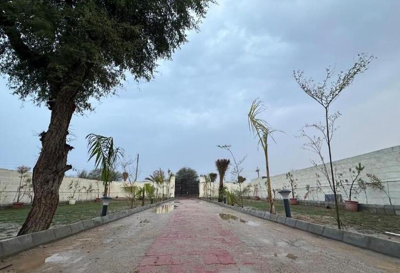 호텔 Blue Wind Palms Resorts And Stays