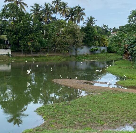 Пансион Comfort Rest