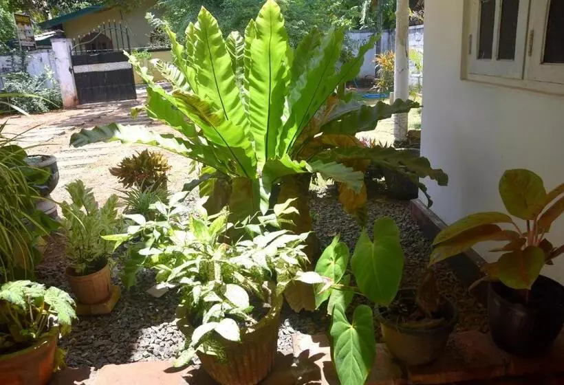 ペンション Pahan Guest Anuradhapura