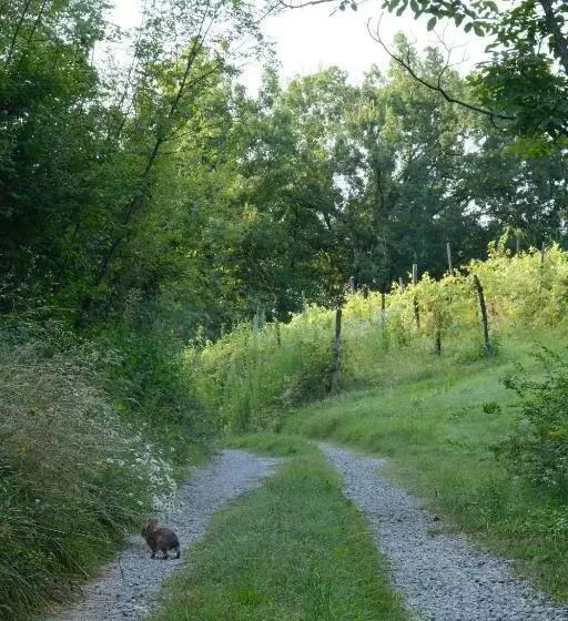 ペンション Rinirma