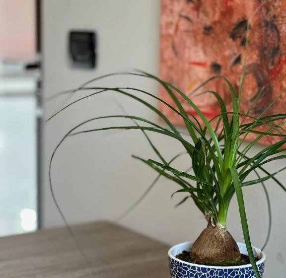 פנסיון Rinirma