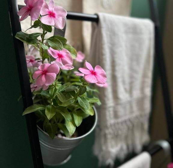 פנסיון Rinirma