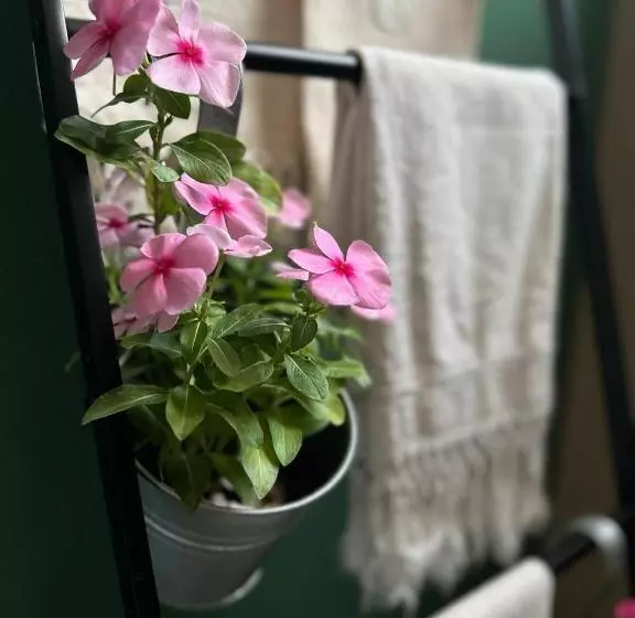 ペンション Rinirma