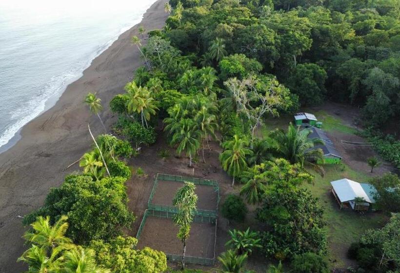 הוסטל Habitación Compartida Con Tres Comidas Incluidas Y Dos Horas De Electricidad Diarias