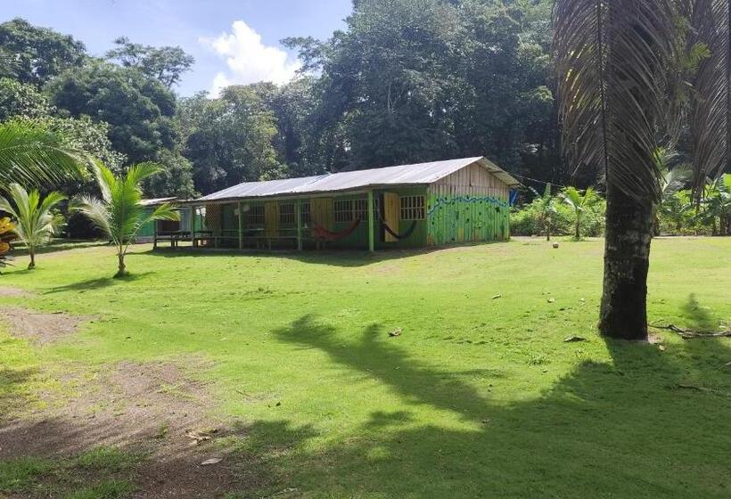 הוסטל Habitación Compartida Con Tres Comidas Incluidas Y Dos Horas De Electricidad Diarias