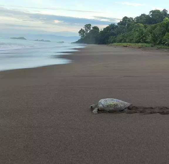Retkeilymaja Habitación Compartida Con Tres Comidas Incluidas Y Dos Horas De Electricidad Diarias