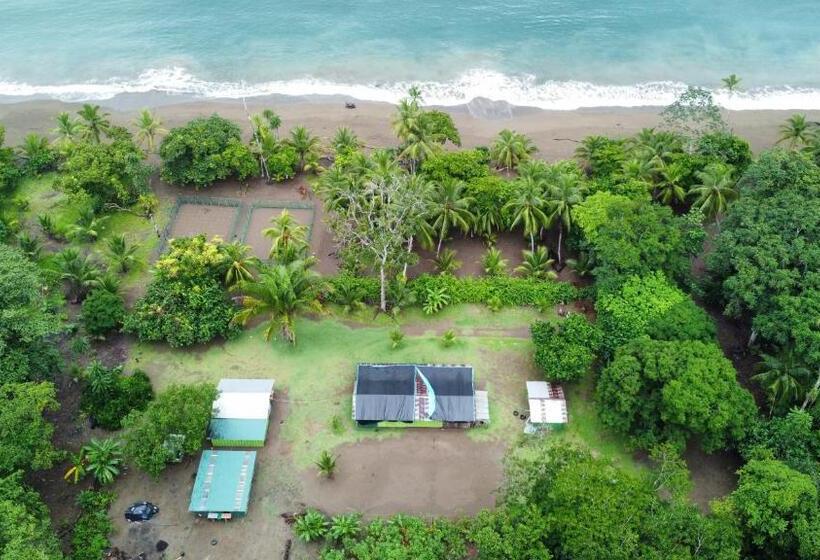 הוסטל Habitación Compartida Con Tres Comidas Incluidas Y Dos Horas De Electricidad Diarias