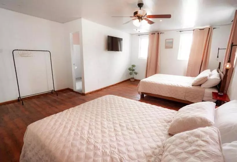 تختخواب و صبحانه La Caribena Beach House  Bocas Del Toro, Isla Colón, Panamá