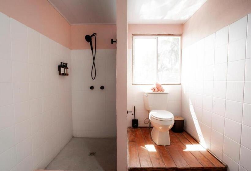 مبيت وإفطار La Caribena Beach House Bocas Del Toro, Isla Colón, Panamá