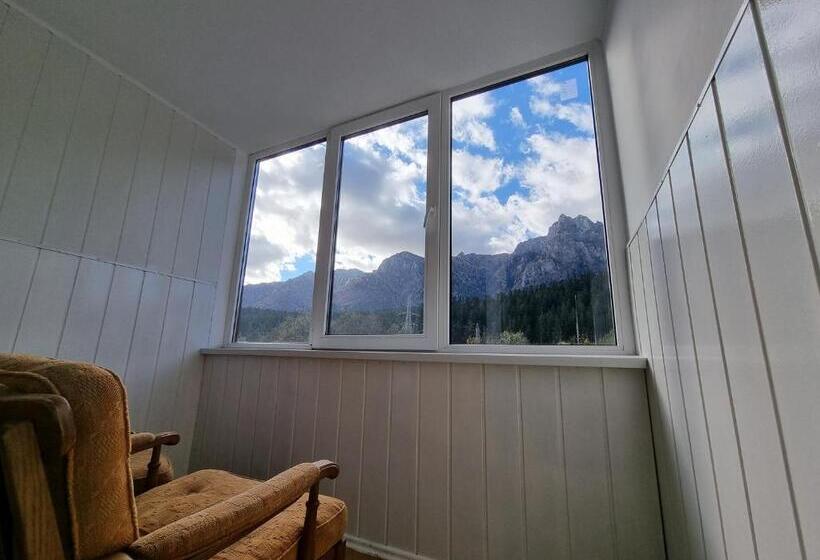 膳宿费 Vila Roxana Busteni