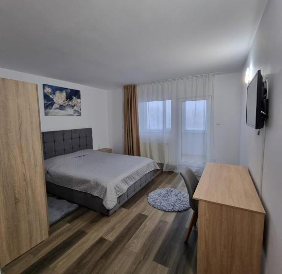 膳宿费 Vila Roxana Busteni