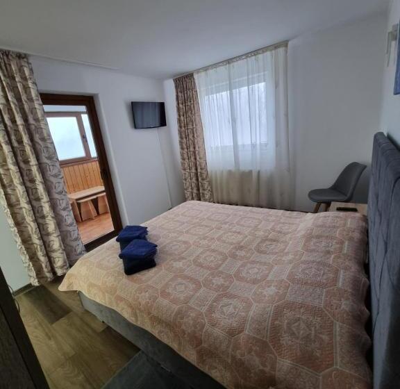 膳宿费 Vila Roxana Busteni