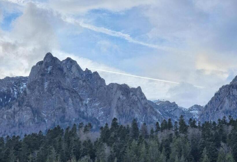 膳宿费 Vila Roxana Busteni