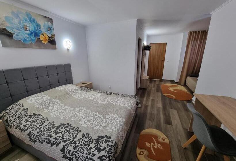 膳宿费 Vila Roxana Busteni