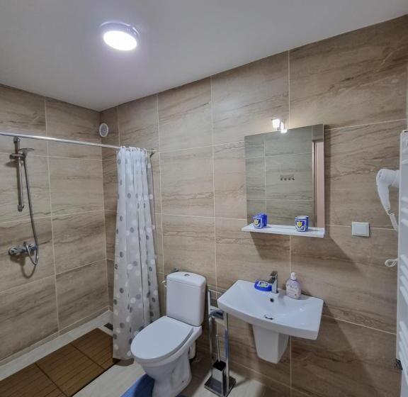 膳宿费 Vila Roxana Busteni