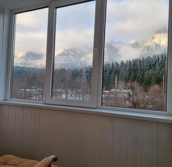 膳宿费 Vila Roxana Busteni